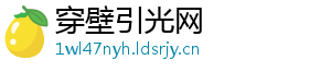穿壁引光网